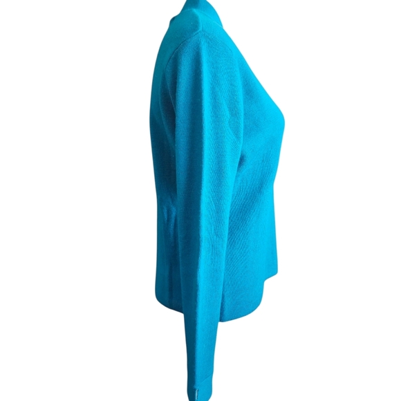 Sarah Spencer 100% Italian Merino Wool V-Neck Sweater Sz Large Blue - Picture 3 of 12